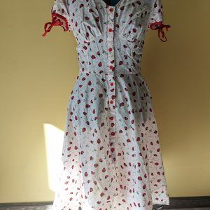 Unique Vintage Pink & Lady Bug Print Dora Swing Dress